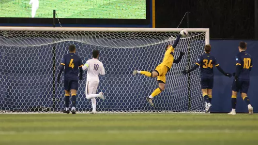 McGaugh vs. Pitt