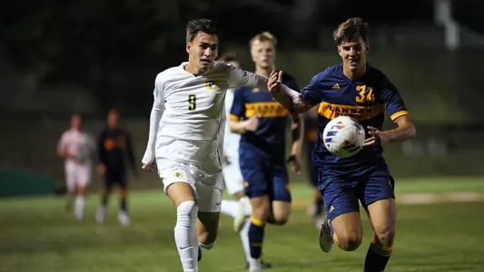 Somolinos Bravo vs. USF