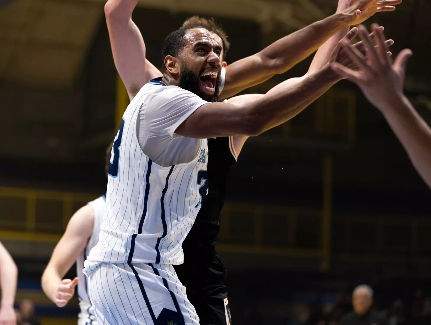The KC Roos took on the Idaho State Bengals delivered a fast-paced performance that kept the crowd locked in from start to finish. The Bengals won in a final score of 68-59.