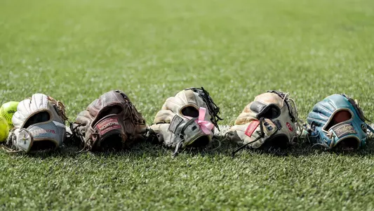 Softball Gloves lying in a row