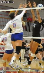 Volleyball Falls in Three Sets at New Haven Image