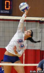 Career Day for Rey Can't Stop New Haven, 3-1 Image