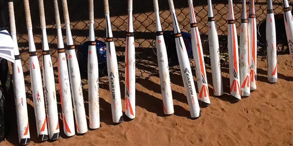 softball bats