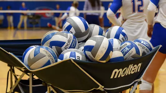 volleyballs