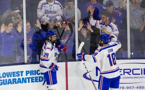 Hockey Goal Crowd Celebration