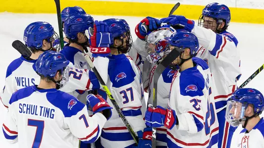Hockey Celebration
