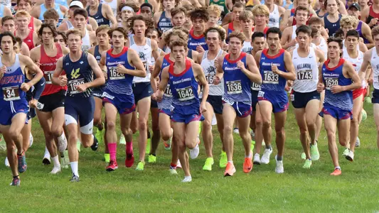 MXC group