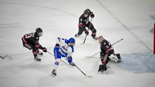 Scout Truman Northeastern Recap Photo