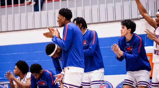 mbb celly