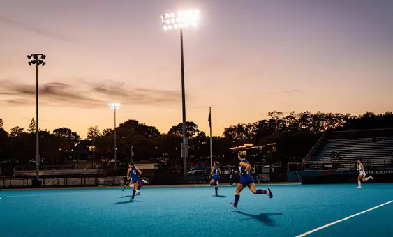 Wicked Blue Field sunset