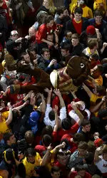 Terp of the Week: The Fans!