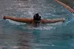 Terps Swimming Hosts Hopkins and Howard On Friday