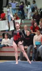 2008 Gymnastics Season Outlook