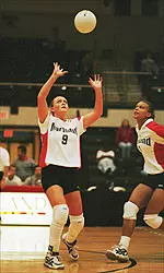 Terps and Tigers Set To Tangle At ACC Tournament