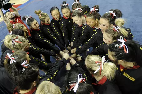 Tumble Talk: Nikki Dragon