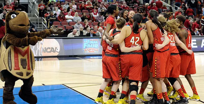 Terps Set for Elite Eight Matchup at Louisville