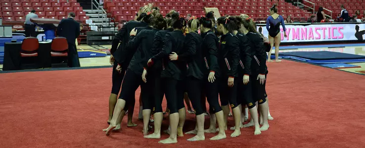 Tumble Talk: Rachel Gurnett