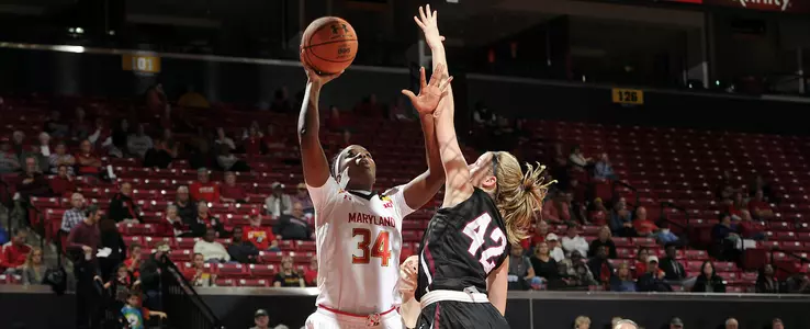 #6 Terrapins Cruise in Final Exhibition