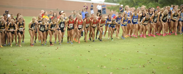 Catherine's Corner: Preseason Training