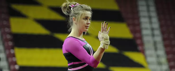Tumble Talk: Amanda Bertorello