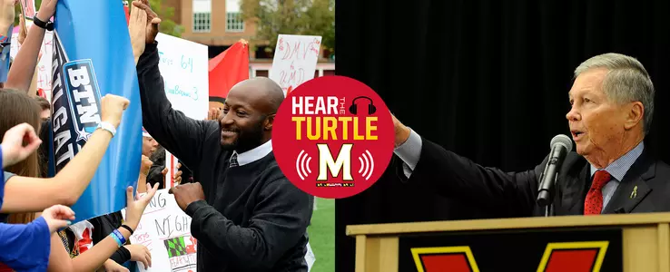 Hear The Turtle