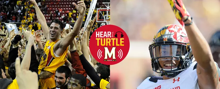 Hear The Turtle