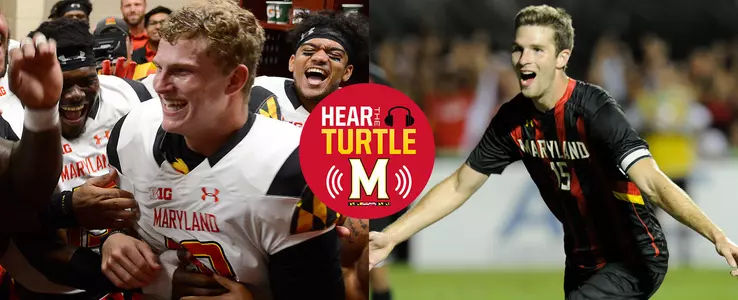 Hear The Turtle