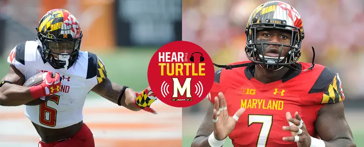 Hear The Turtle