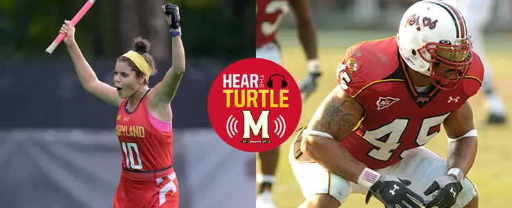 Hear the Turtle