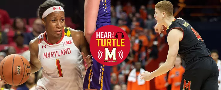 Hear The Turtle