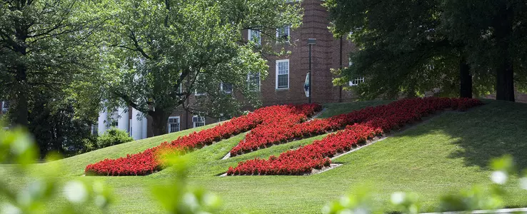Sixty-Six Terps Named Academic All-Big Ten
