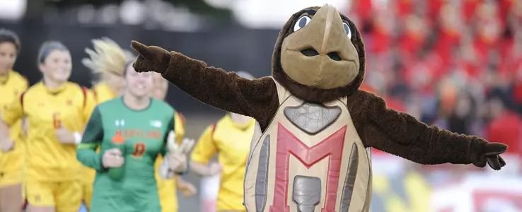 Incoming Terps Earn Honors