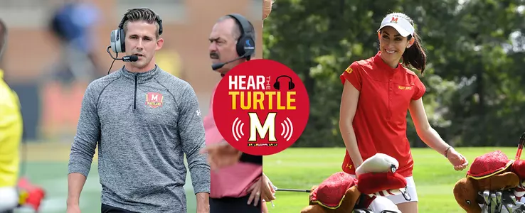 Hear The Turtle