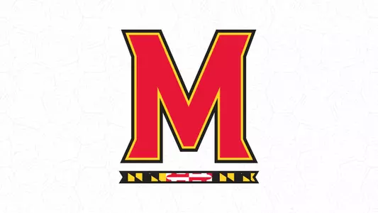 M Bar Shell Background