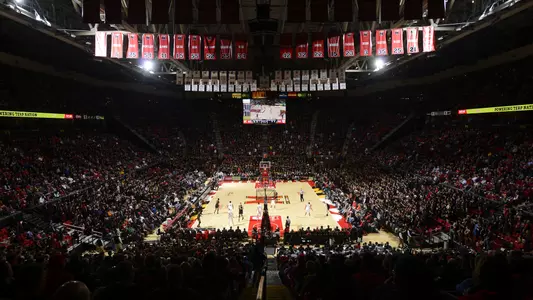Arena