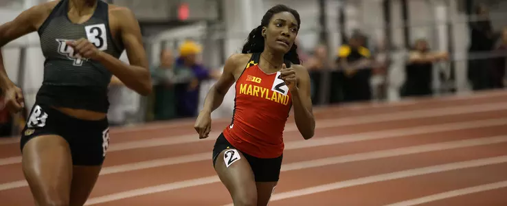Terps Perform Well at Bulls Invitational