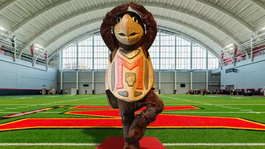 Testudo at Cole