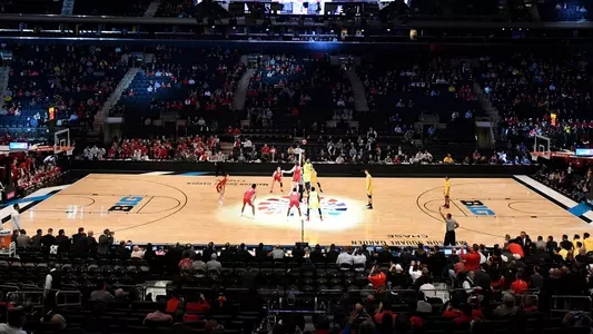 MSG