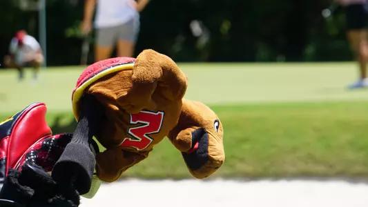 Team Testudo