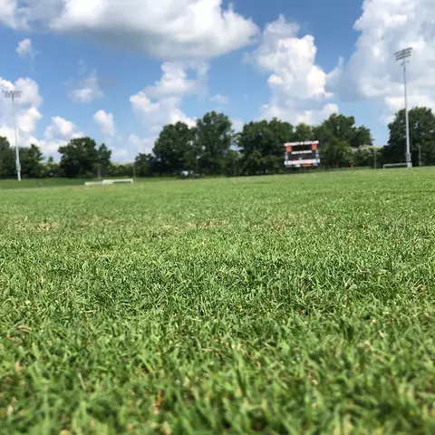 Ludwig Field
