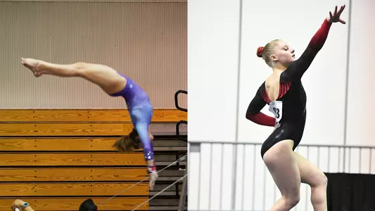 Gymnastics 2021 Additions
