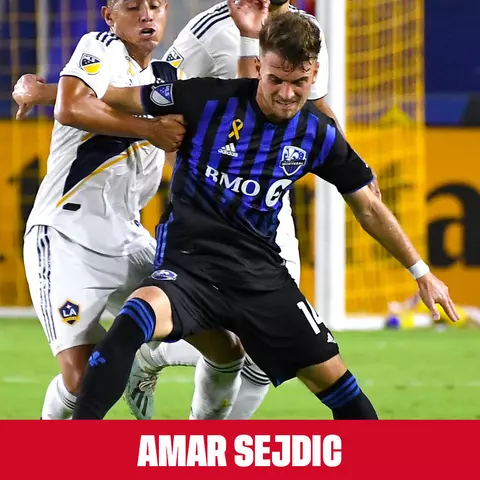 Amar Sejdic