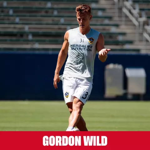 Gordon Wild