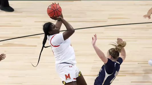 Ashley Owusu