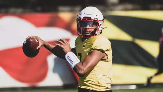 TAULIA TAGOVAILOA
