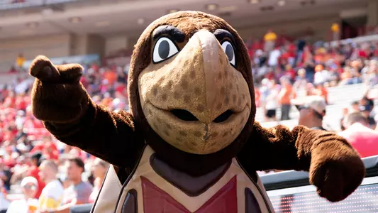 Testudo