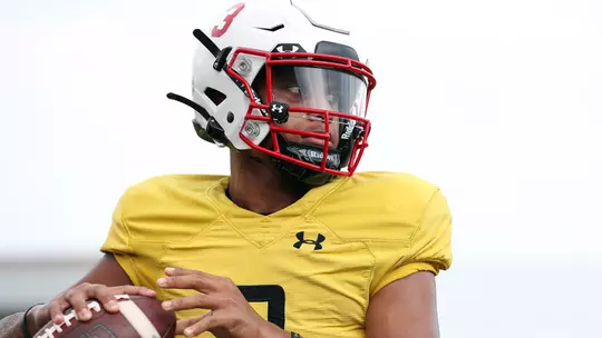 Taulia Tagovailoa