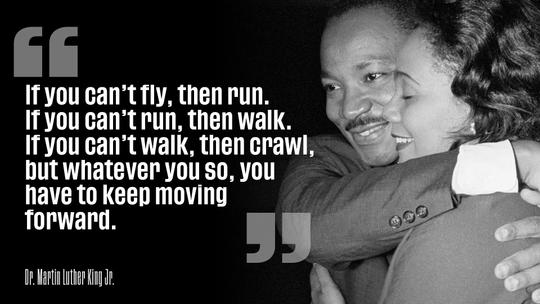  Martin Luther King Jr. MLK “If You Can't Fly Then Run, If You  Can't Run Then Walk, If You Can't Walk Then Crawl, but Whatever You Do You  Have to Keep