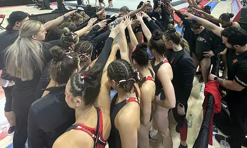 Gymnastics Team