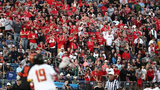 Crowd